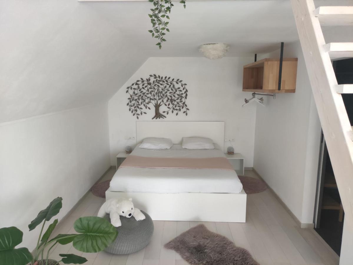 Apartamento *** Biezoe *** Brakel Exterior foto